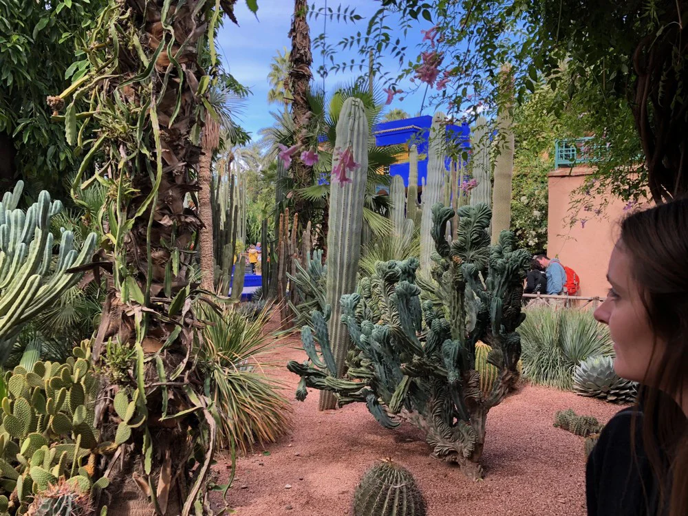 Morocco - Woman admiring plants at Jardin Majorelle in Marrakech
