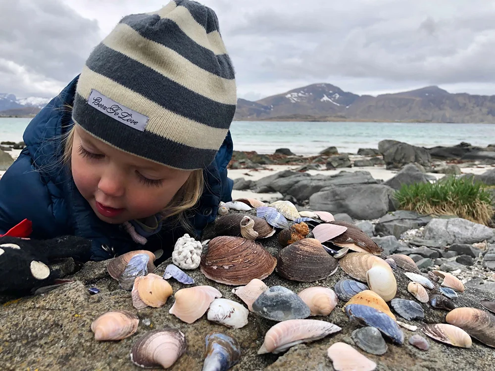 Norway - Kid looking for seashells on the beach with snow-covered mountains in the background