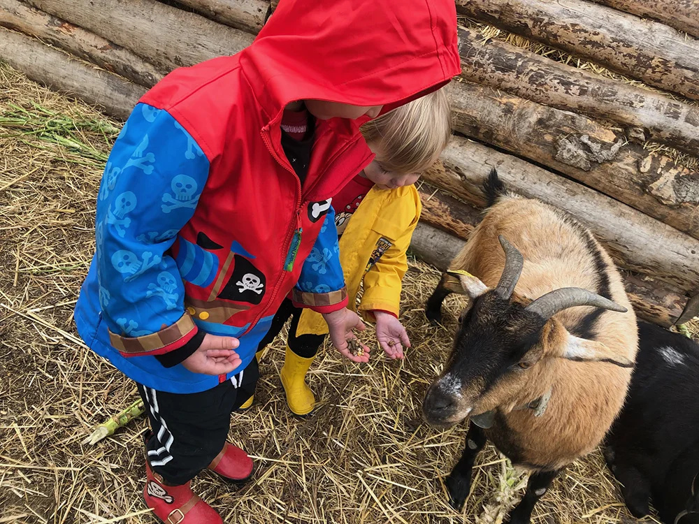 Porto Portugal - Kids feeding goat at Casa Das Palmeiras pedagogical farm