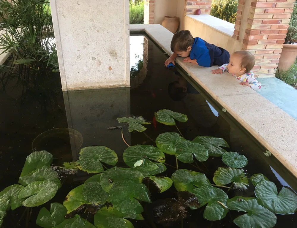 Valencia Spain with Kids - Playing in the Pond