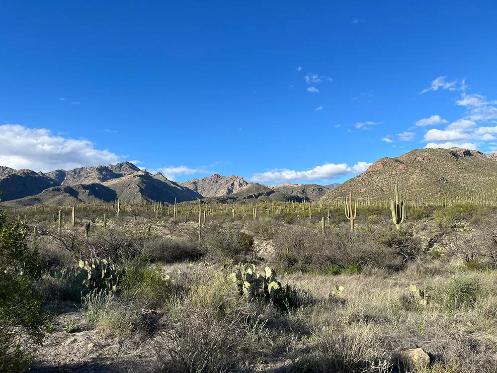 Beautiful View of the Catalina Foothills in Tucson, Arizona
